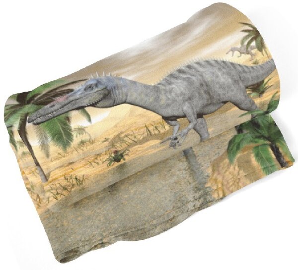 IMPAR Fleecová deka Dinosaurus 150x120 cm (Rozměr : 150 x 120 cm)