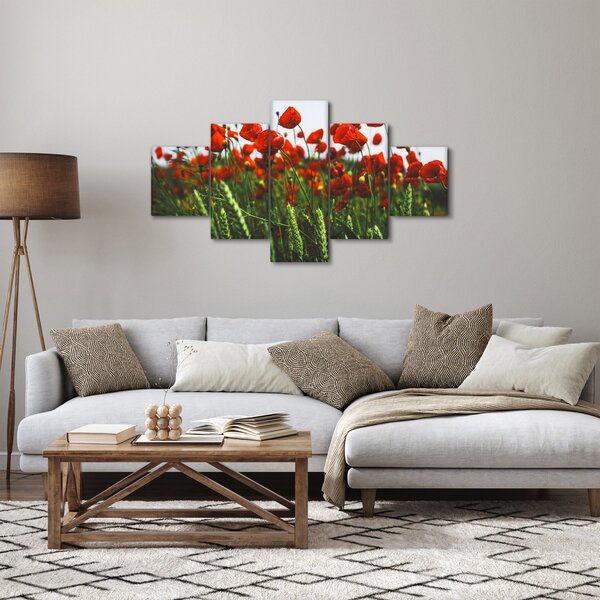 Obraz vlčích máků ve větru (125x70 cm)