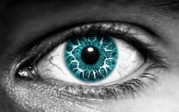 Plakát Modré oko (Velikost: 60 x 37 cm)