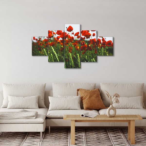 Obraz vlčích máků ve větru (125x70 cm)