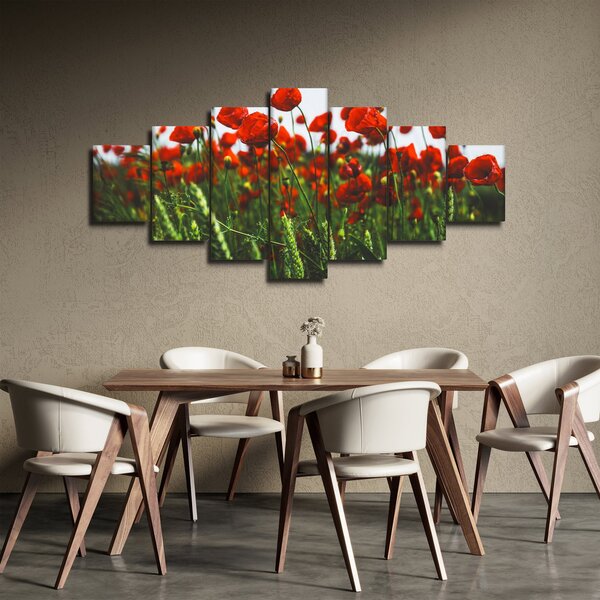 Obraz vlčích máků ve větru (210x100 cm)