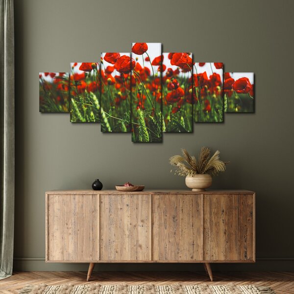 Obraz vlčích máků ve větru (210x100 cm)