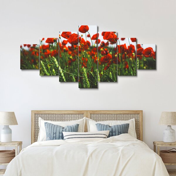 Obraz vlčích máků ve větru (210x100 cm)