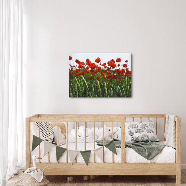Obraz vlčích máků ve větru (70x50 cm)