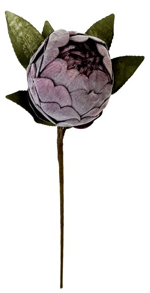 Protey - umělá květina vínová 63cm