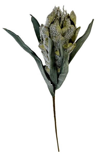 Zázvor - umělá květina zelená 70cm