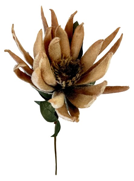 Bělosemenka - umělá květina béžová 65cm