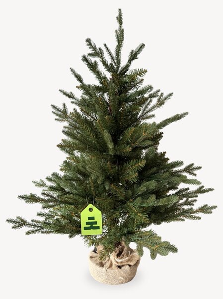 Smrk Přírodní 100 LED 90 cm