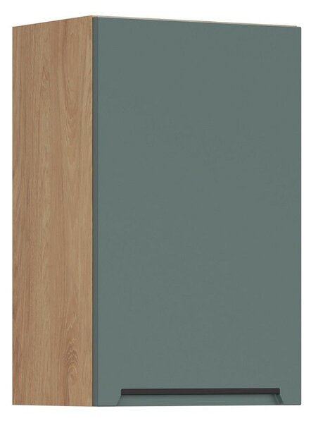 BRW Kuchyně Family Line Iris G-45/72-L, boho green matt