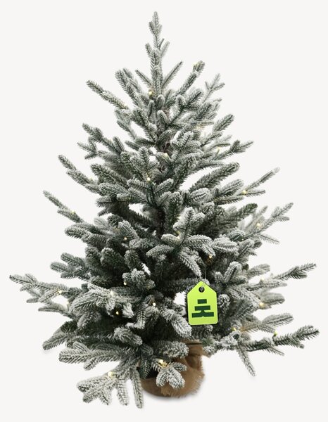 Smrk Zasněžený 70 LED 90 cm