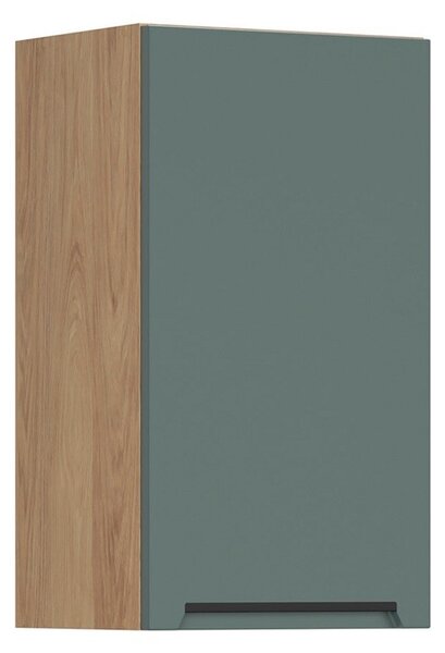 BRW Kuchyně Family Line Iris G-40/72-P, boho green matt