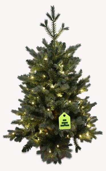 Smrk Modrý 100 LED 90 cm