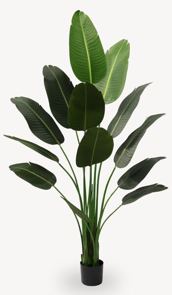Umělá Ravanela 120 cm