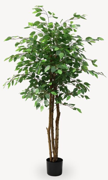 Umělý Ficus Zelený 160 cm