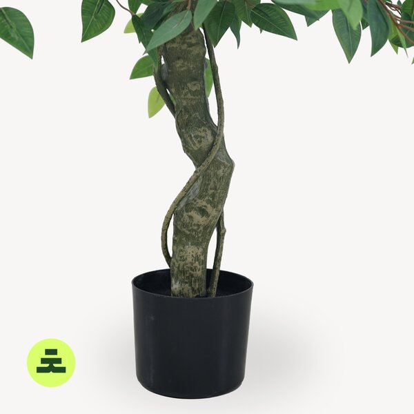 Umělý Ficus Vícepatrový 150 cm