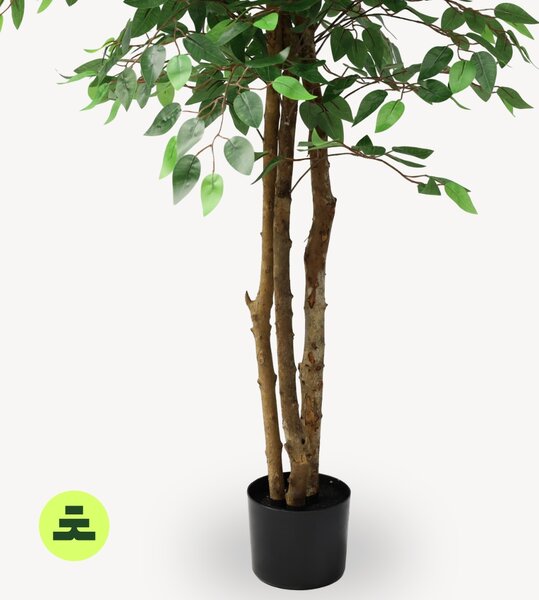 Umělý Ficus Zelený 160 cm
