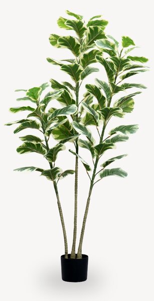 Umělý Ficus Lyrata 150 cm