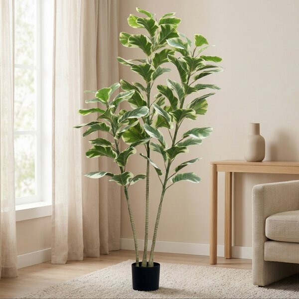 Umělý Ficus Lyrata 150 cm