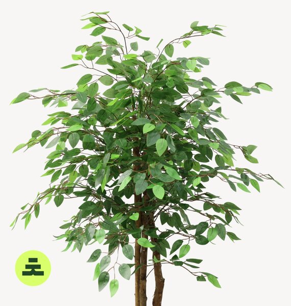 Umělý Ficus Zelený 160 cm
