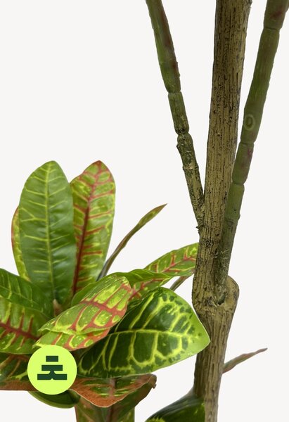 Umělý Kroton Jarní 120 cm