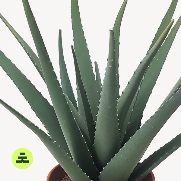Umělá Aloe 59 cm