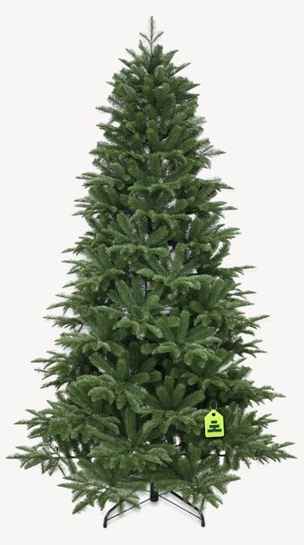 Jedle Kavkazská 100% 150 cm