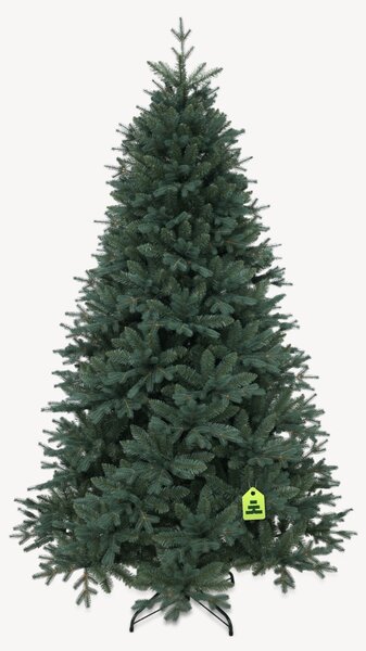 Smrk Stříbrný 150 cm