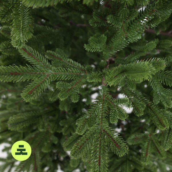 Smrk Natura 100% 150 cm