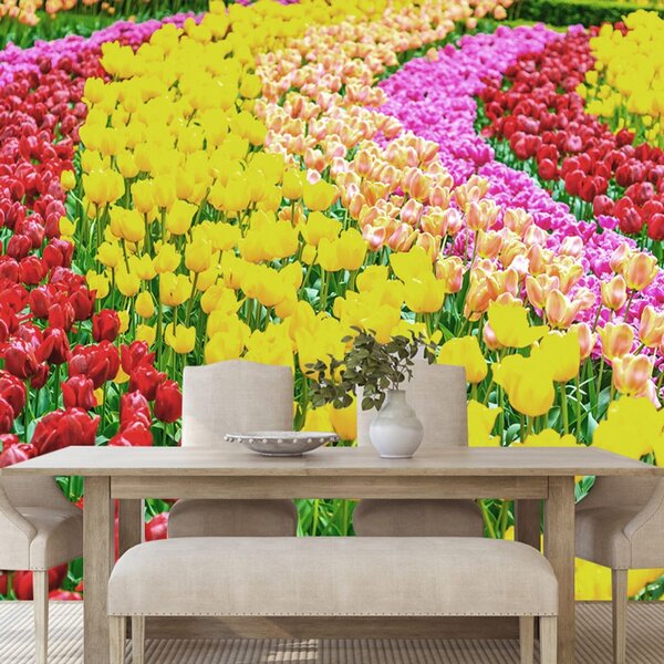 Fototapeta zahrada plná tulipánů