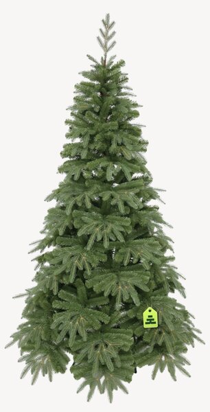 Jedle Přírodní 150 cm