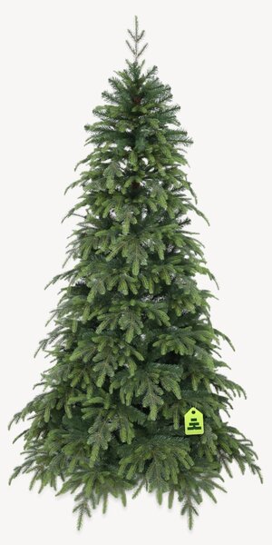 Smrk Natura 150 cm