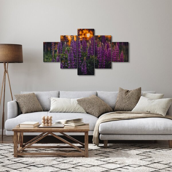 Obraz květů vlčího bobu (125x70 cm)