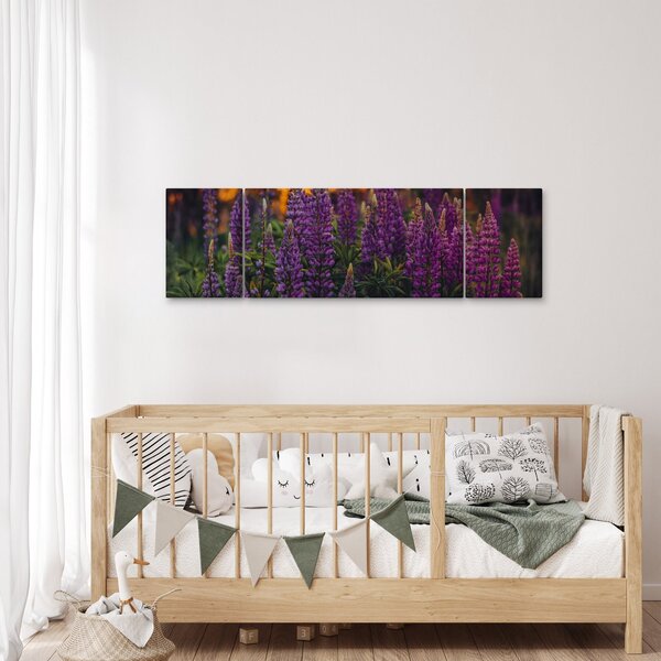 Obraz květů vlčího bobu (170x50 cm)
