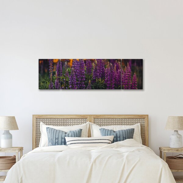 Obraz květů vlčího bobu (170x50 cm)