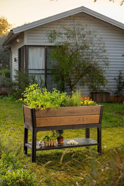 Deco Elevated Garden Bed Květináč 156 x 113 x 47 cm, walnut KETER 263873