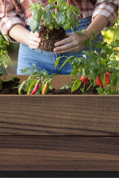 Deco Elevated Garden Bed Květináč 156 x 113 x 47 cm, walnut KETER 263873