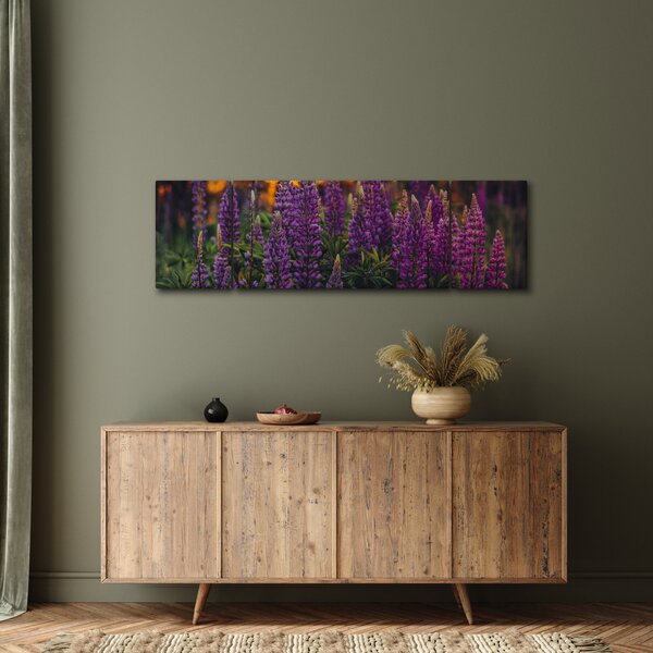 Obraz květů vlčího bobu (170x50 cm)