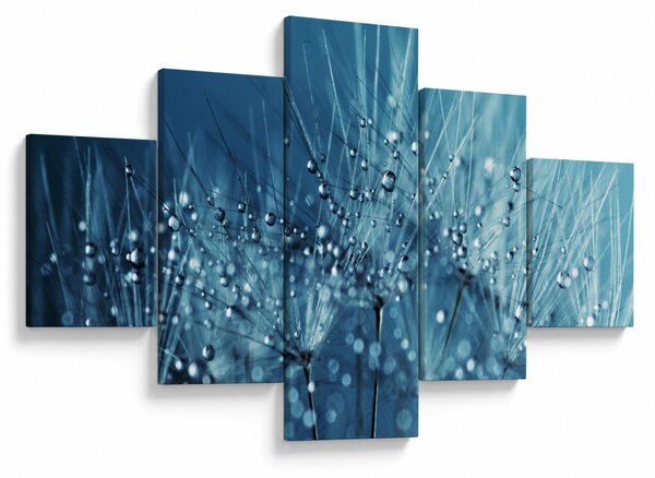 Obraz - Kapky rosy (125x70 cm)