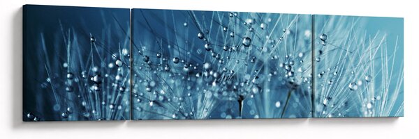 Obraz - Kapky rosy (170x50 cm)