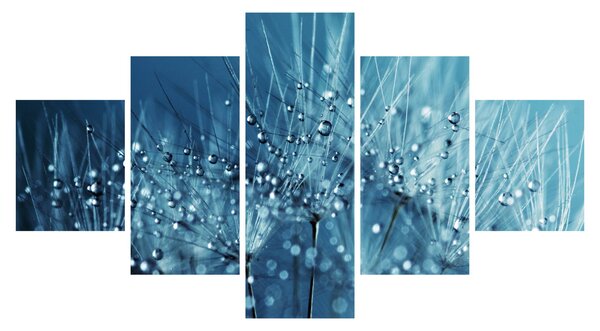 Obraz - Kapky rosy (125x70 cm)