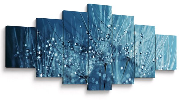 Obraz - Kapky rosy (210x100 cm)