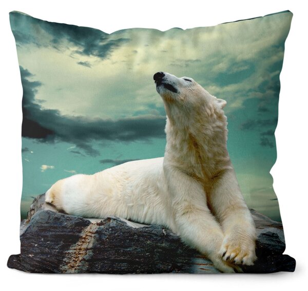 Polštář Lední medvěd (Velikost: 40 x 40 cm)