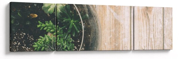 Obraz sukulentů ve skle (170x50 cm)