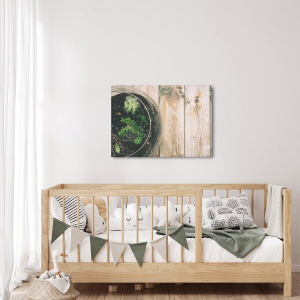 Obraz sukulentů ve skle (70x50 cm)