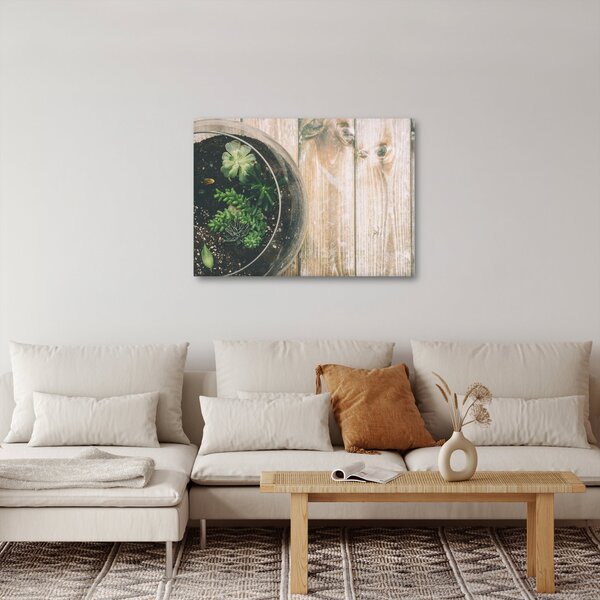 Obraz sukulentů ve skle (70x50 cm)