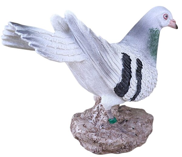 Holub na kameni 21 x 15 cm PRODEX A00841