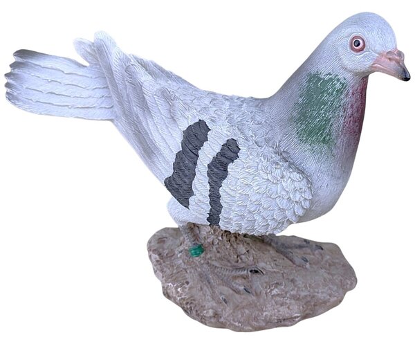 Holub na kameni 21 x 15 cm PRODEX A00841