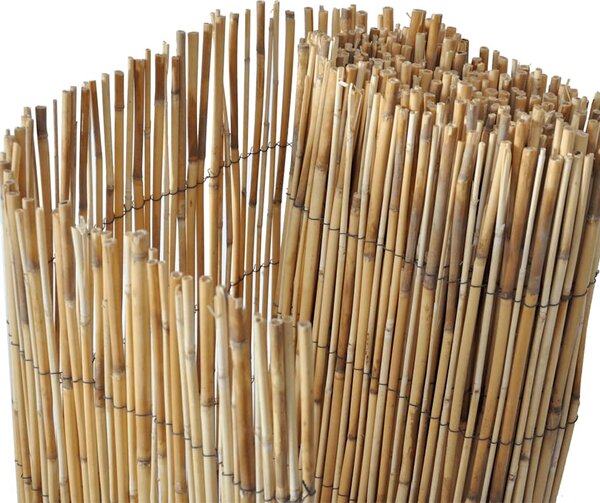 Zahradní rákosový plot 500 x 100 cm 141618