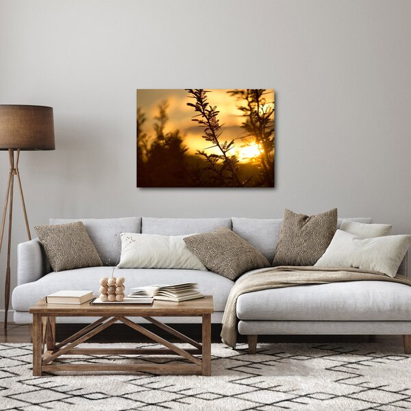 Obraz - Slunce zapadající za stromy (70x50 cm)