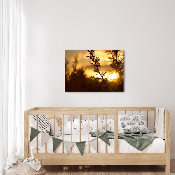 Obraz - Slunce zapadající za stromy (70x50 cm)